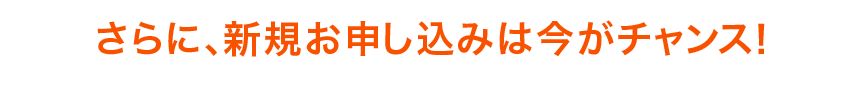 さらに、新規お申し込みは今がチャンス!